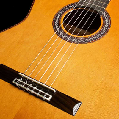 Cordoba C9 Classical Guitar Cedar/Mahogany image 2