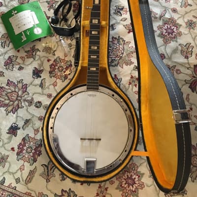 Vintage Vine VF-5R / 5 string Long Neck Banjo w/Case from Japan