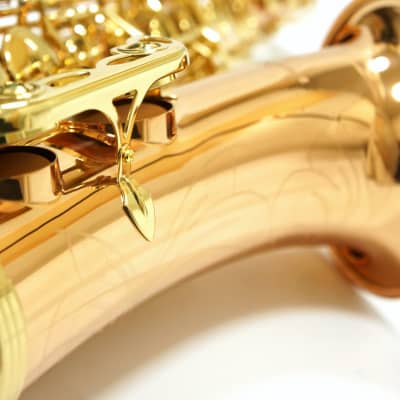 Free shipping! 【Special price】 Yanagisawa T-WO2(TWO2) Bronze Tenor Saxophone image 7
