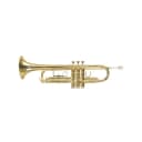 Palatino WI-815-TP Bb Trumpet with Case