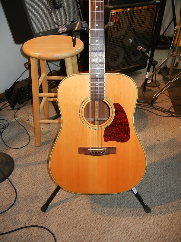 ギター Ibanez AW-100 Ibanez Artwood AW100 Acoustic Guitar | eBay