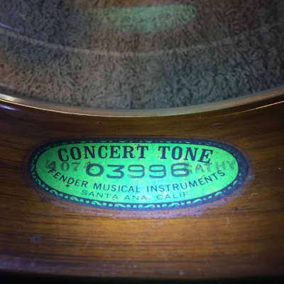 Fender Concert Tone banjo 1971(?)  PRICE REDUCED! image 4