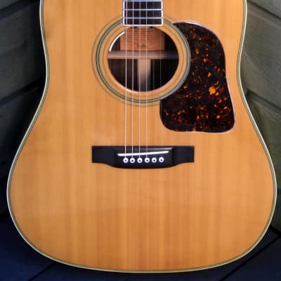 Martin Pro Martin w-200 アコースティックギター Martin Pro Martin W-200 アコースティックギター