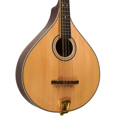 Gold Tone OM-800+ Arched Solid Spruce Top Octave & Mahogany Neck Mandolin with Hardshell Case image 4