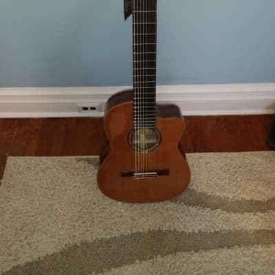 Ortega Nylon String Guitar R189SN-25TH w/Bag