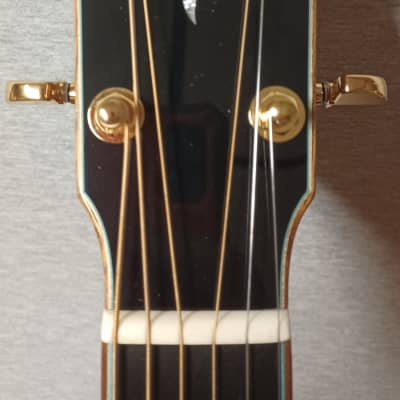 Eastman AC522CE with Hard Shell Case image 5