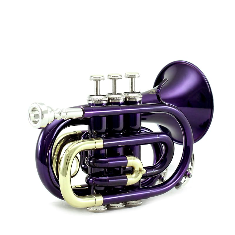 Sky Band Approved Purple Plated Brass Bb Pocket Trumpet with Case