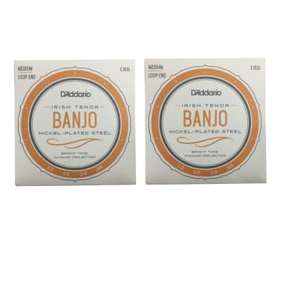D'Addario Irish Tenor Banjo Strings 2 Packs EJ63i Medium Loop End