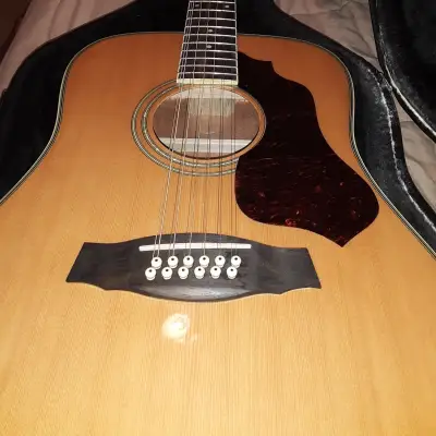 Ibanez 12 string Acoustic Guitar SGT122-NT  2014  w/ hardshell case image 6