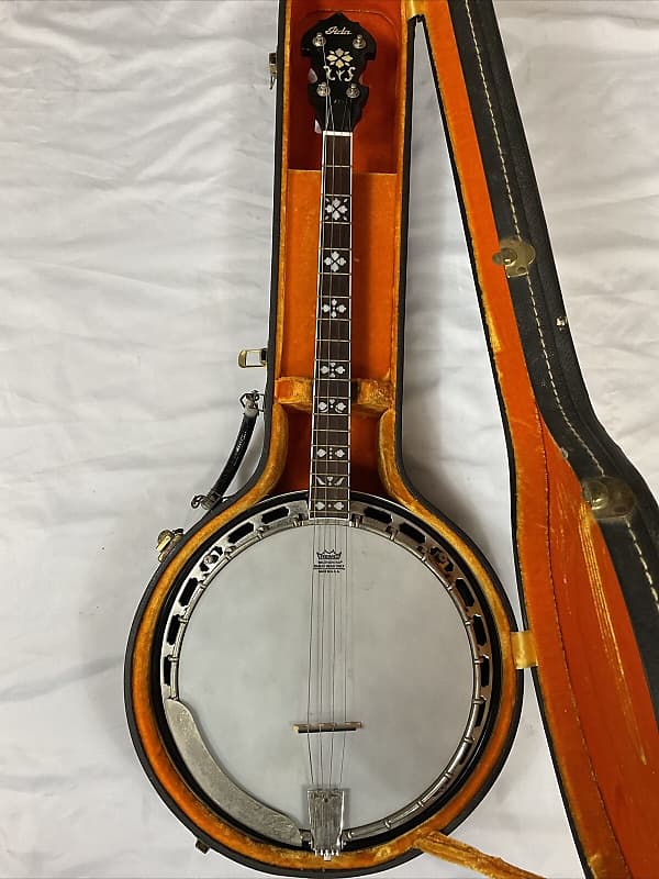 Iida Vintage 4-String Banjo 19 Frets Remo Weatherking Banjo | Reverb