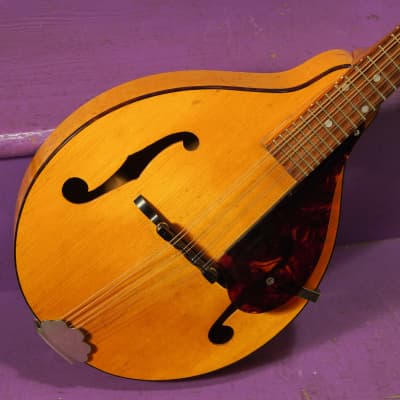 1940s Gibson Kalamazoo KMN-12 Oriole-style A-Style Archtop Mandolin (VIDEO! Fresh Work, Good to Go) image 2
