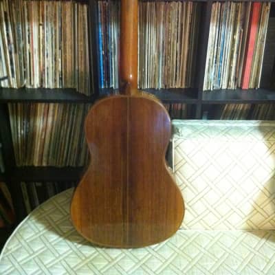 Eugene Clark Classical 1974 Brazilian Rosewood and Spruce image 8