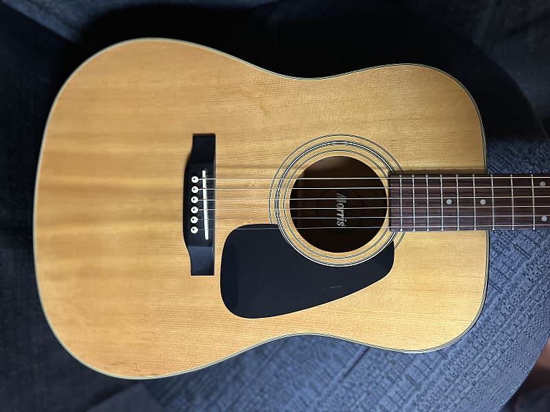 Morris MD-502 1980s acoustic guitar | Reverb