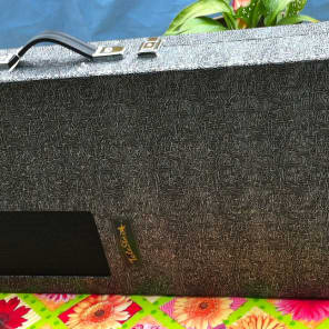 NEW RARE SILVER SPARKLE TELESTAR LISA W/AMP IN CASE GUITAR BY J.T. RIBOLOFF "LAST ONE" image 11