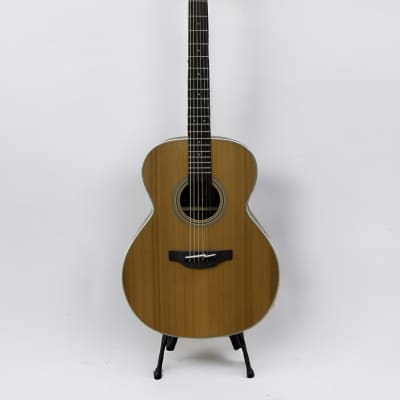 Takamine GN20 NS G20 Series NEX Acoustic Guitar - Natural Satin image 1