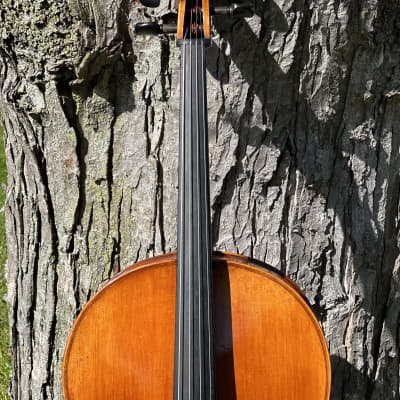 Eastman Stradivarius 2014 - Traditional Wooden image 5