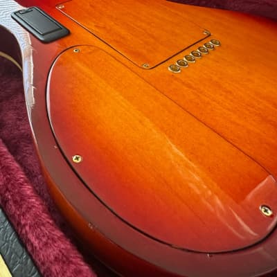 Jimmy Foster Performer 7-String Custom image 12