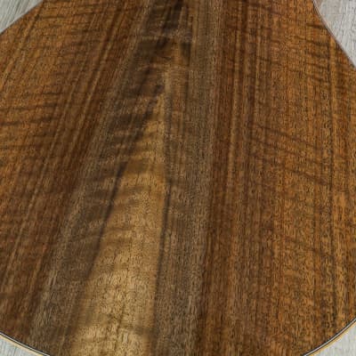 2019 NOS Breedlove Masterclass Custom Concertina E Acou-Elect Guitar, Redwood - Figured Walnut image 7