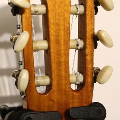 Guitare Classique Raimundo Model 100 image 6