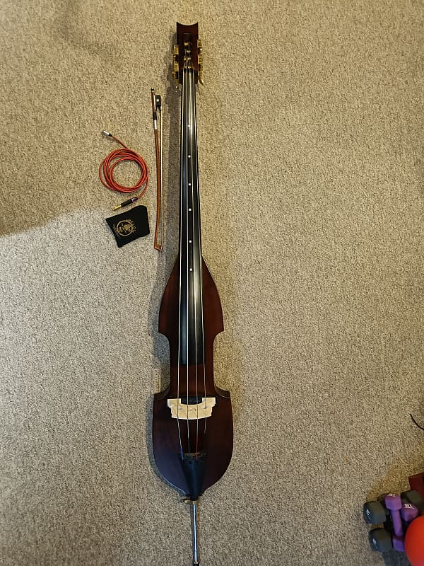 Cecilio Electric Double bass (CEDB1DW) with Gigbag and Stagg Reverb