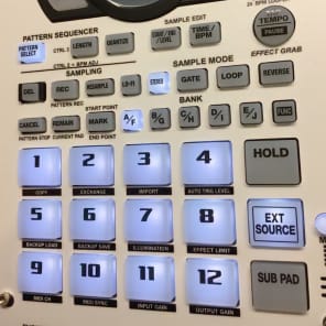 Roland SP-404 SX (CUSTOM! GREEN/WHITE LEDS) 2017 image 2