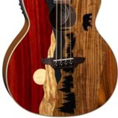 Luna Vista Bear Tropical Wood Acoustic Electric Bass with Case for sale