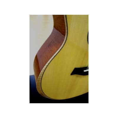 Guitarra Acustica y Amplificador TAYLOR BR-III Acoustic Guitar Amp Set image 9