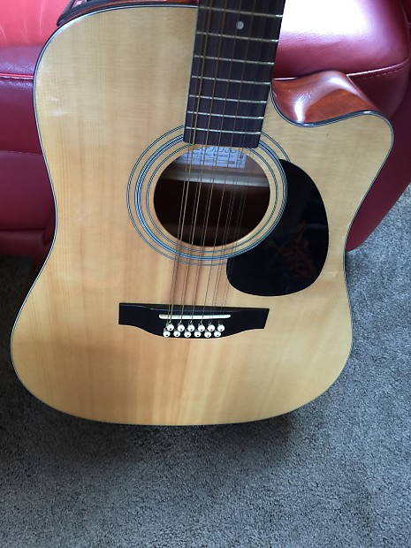 Takamine eg335sc 12 string top