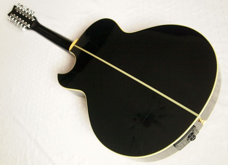Washburn EA20MB-12 12弦ギター Washburn EA20 Mini Jumbo Acoustic-Electric Guitar | Music & Arts