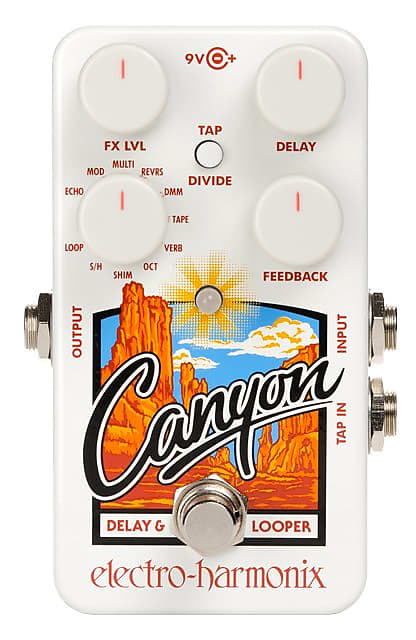 Electro Harmonix Canyon Delay & Looper Effects Pedal image 1