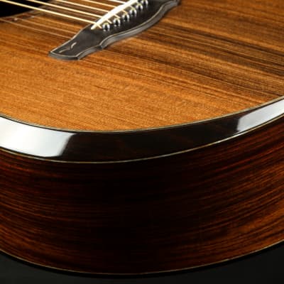Kevin Ryan  Nightingale Grand Soloist Old Growth Redwood & Rosewood 2013 *VIDEO* image 17