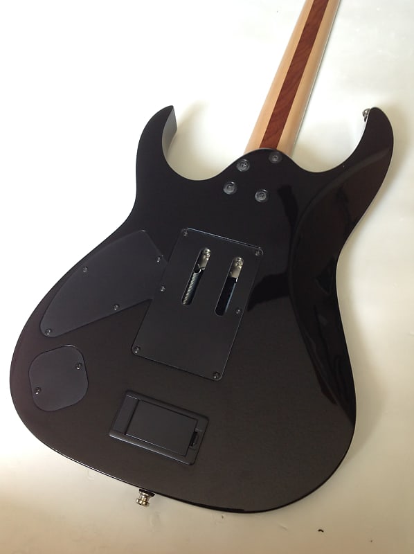 Ibanez Iron Label RG Series RGIR20BE with Tremolo Electric