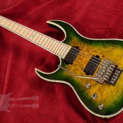 B.C. Rich Shredzilla Z6 Prophecy Exotic Archtop with Floyd Rose Left Handed Reptile Eye image 3