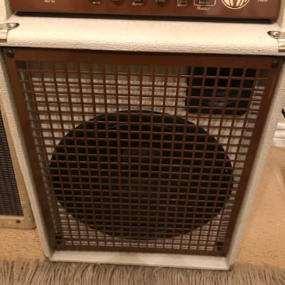 SWR California Blonde 200w 2-Channel 1x12" Acoustic Guitar Combo image 1