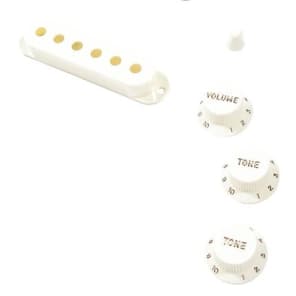 Fender 099-2097-000 Pure Vintage '60s Stratocaster Accessory Kit