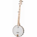 Deering Goodtime 5-String Openback Acoustic/Electric Banjo