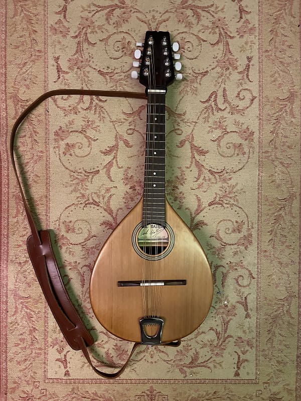 Paul Hathway Mandolin ElectroAcoustic 2021 Natural Reverb UK