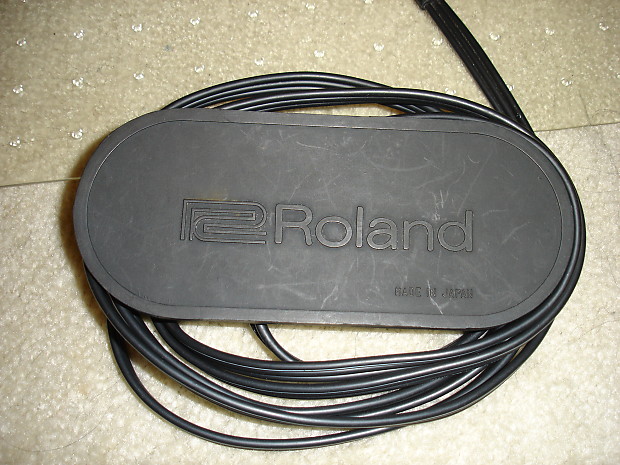 Roland FS-3 Foot Switch | Reverb