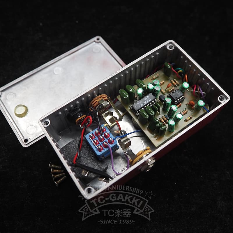 Pharaoh Amplifiers Echo Jr. VINTAGE DELAY | Reverb