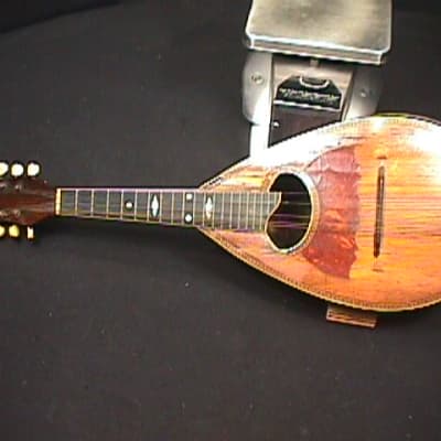 Antique Bow Back-Gord Back 8 String Mandolin as-is   3 M for sale