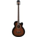 Ibanez AEB10EDVS 4-String Acoustic Electric Bass Guitar with Fishman Pickup- Dark Violin Sunburst High Gloss