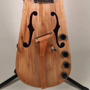 Custom Vintage 120 Year Old Violin Case Guitars - Electric & Acoustic with Custom Case image 3