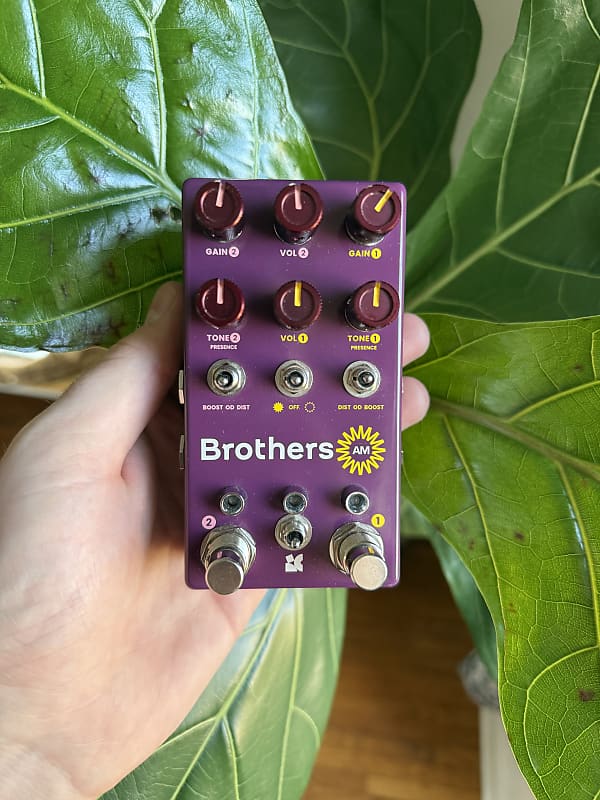 Chase Bliss Audio Brothers AM