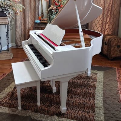 White Baby Grand Piano 48 ένας ιδιοκτήτηςWhite Baby Grand Piano 48 ένας ιδιοκτήτης  