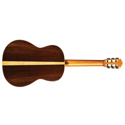 Cordoba - C12 SP - Nylon-String Acoustic Guitar - Spruce - Natural - w/ Cordoba Deluxe Humidified Archtop Wood Case image 3