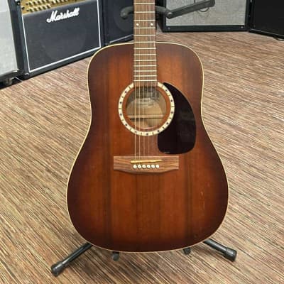 Art & Lutherie Cedar Antique Burst solid top dreadnought