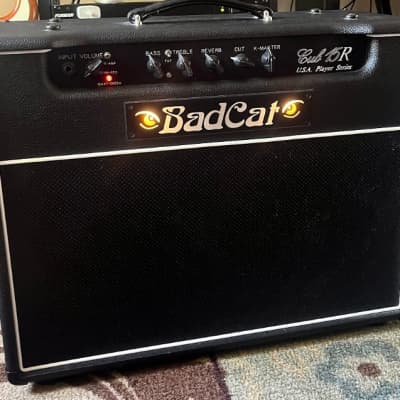 Bad Cat Cub II 15R Combo | Reverb