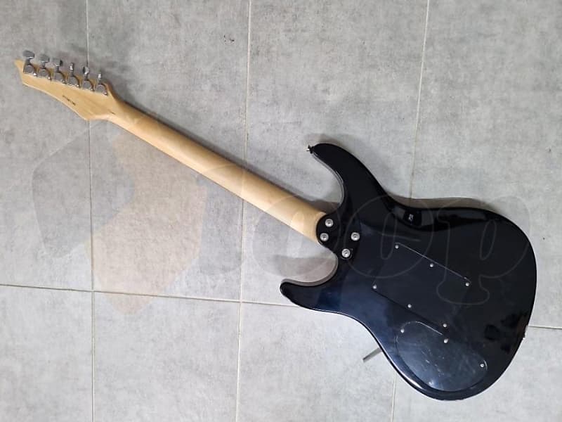 s*n様 Washburn RX25 虎目　シースルーブラック　Floyd Ro yf0ptwiciwcbsgxudyqb.jpg