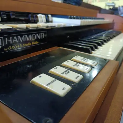 Hammond  M3 Portable image 21