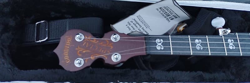 Deering Artisan Goodtime Special 5-String Resonator Banjo 2010s - Natural image 1